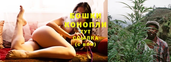 прущие крисы Дмитров
